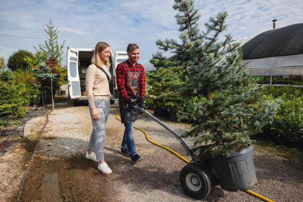 Best Tree Trimming and Pruning  in Akron, NY